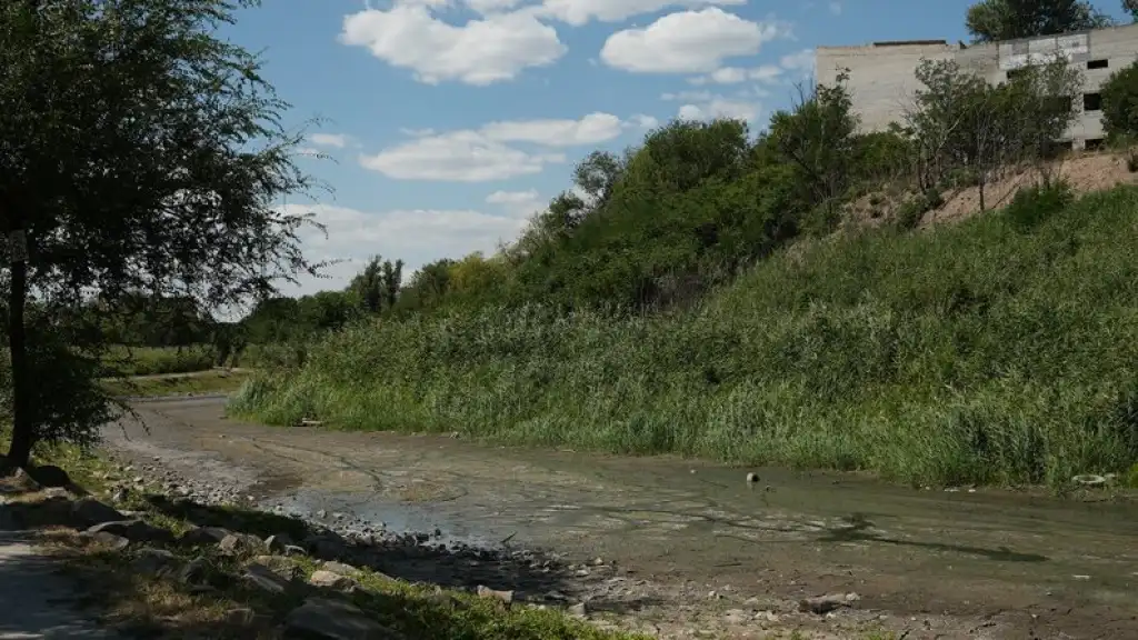 Озера Запоріжжя на межі: у парках Перемоги та Дубовий Гай рівень води впав до критичного мінімуму