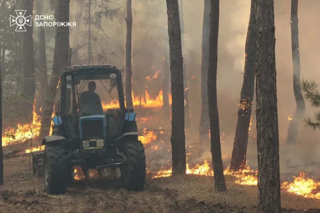 У Запорізькому районі ліквідували масштабну лісову пожежу