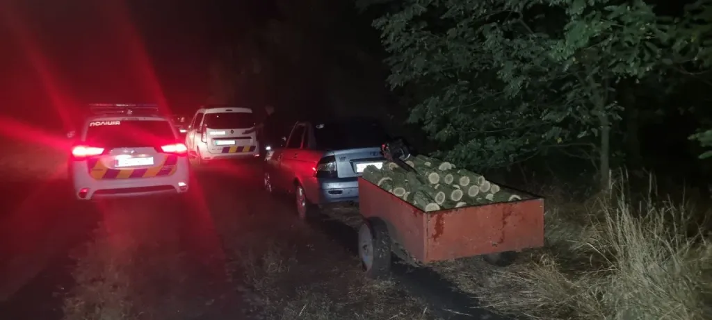 У Солоному на Запоріжжі виявили незаконну вирубку дерев