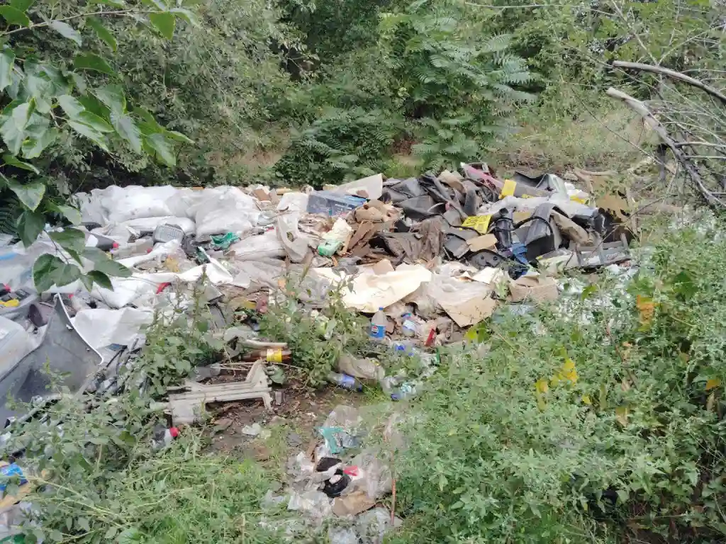 У Запоріжжі знайшли незаконне сміттєзвалище площею понад 3 тисячі квадратних метрів