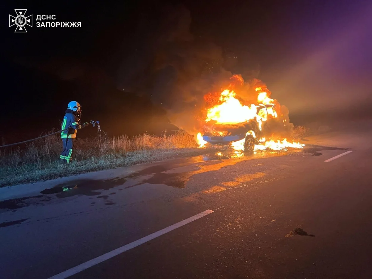 На трасі в Запорізькому районі загорівся легковик: рятувальники оперативно ліквідували пожежу