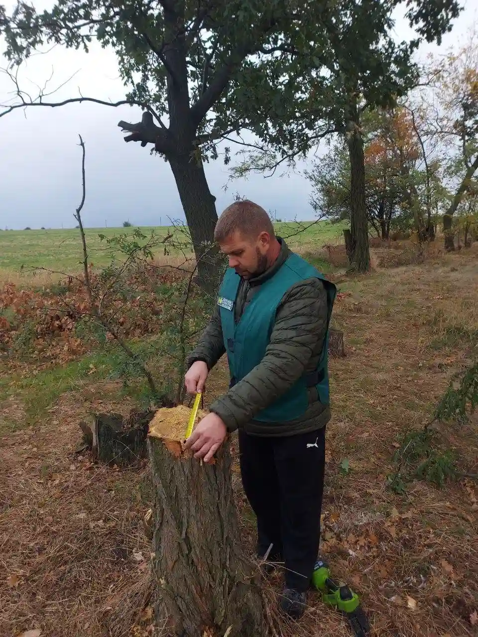 У Балабиному під Запоріжжям виявили незаконну вирубку десяти дерев