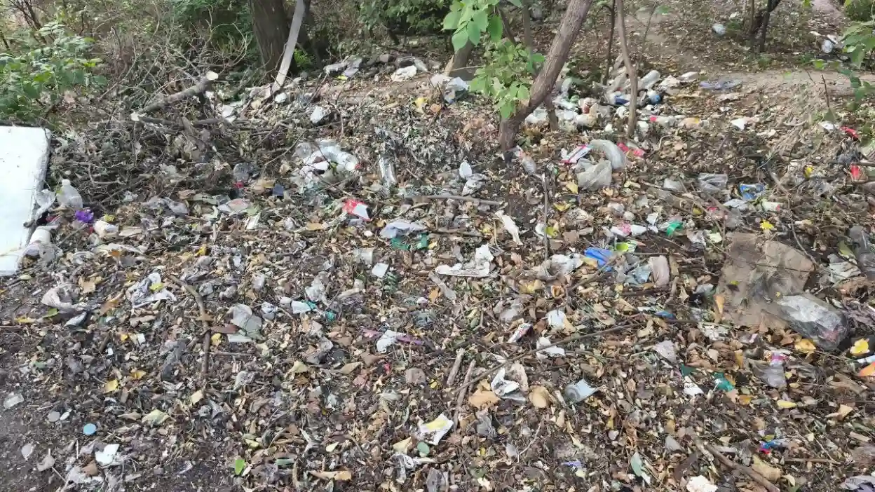 У Запоріжжі в Хортицькому районі знайшли стихійне звалище побутового сміття