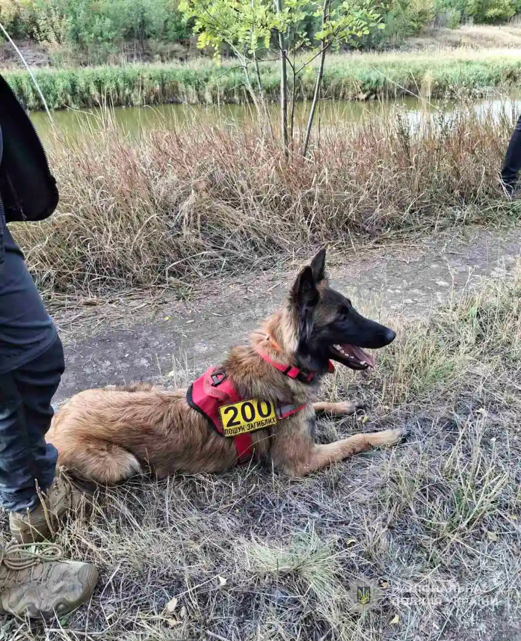 У Запорізькому районі після п’яти днів пошуків знайшли тіло зниклого чоловіка