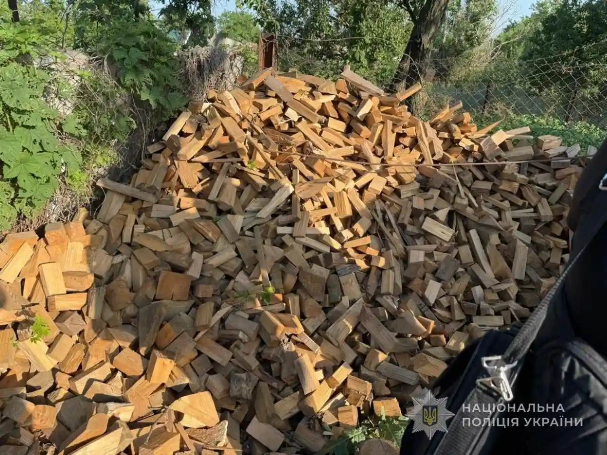 На Запоріжжі затримали трьох чоловіків за масову незаконну вирубку дерев