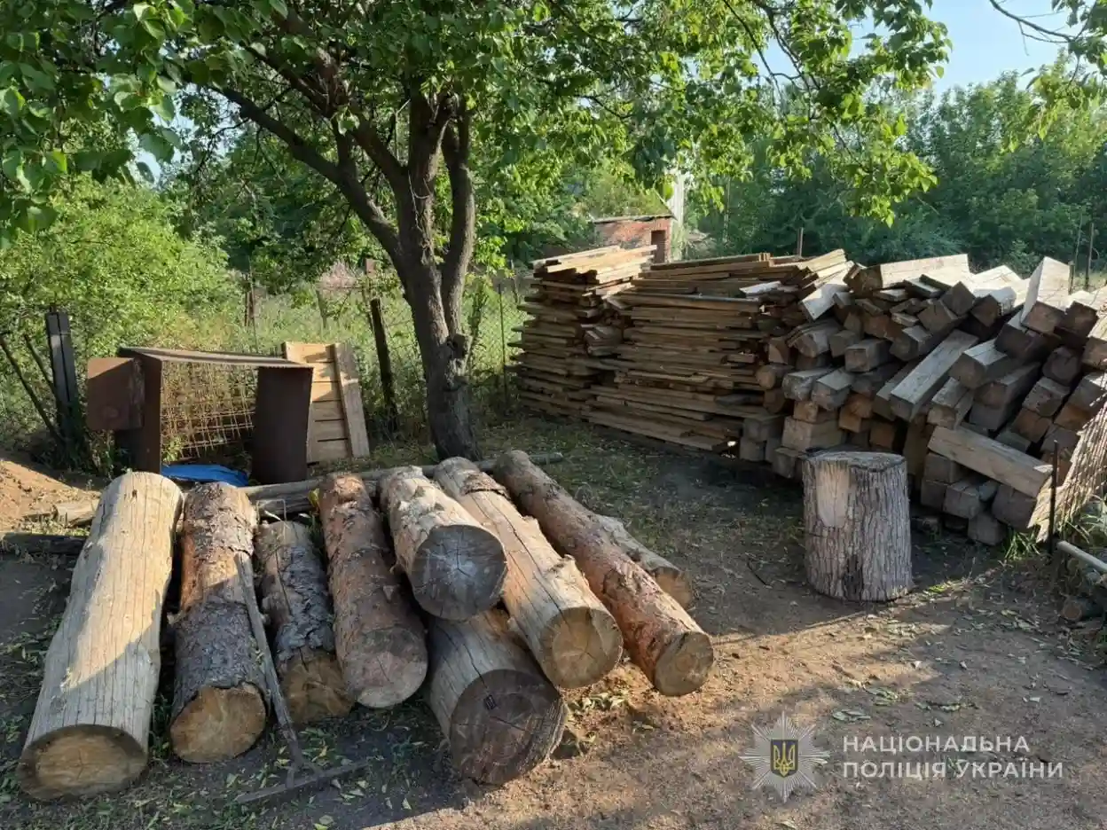 На Запоріжжі затримали трьох чоловіків за масову незаконну вирубку дерев
