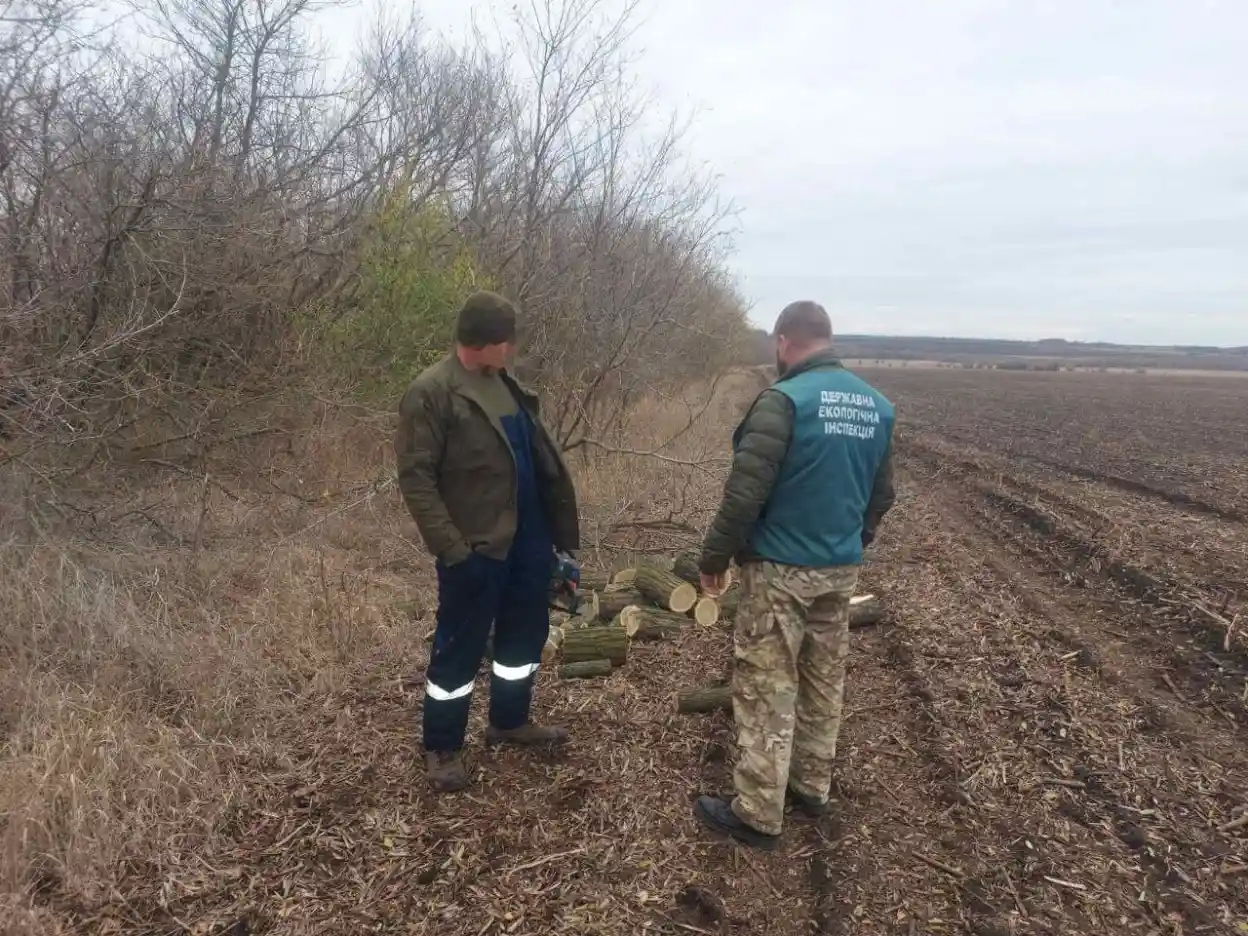 У Запорізькому районі зафіксували незаконну вирубку дерев