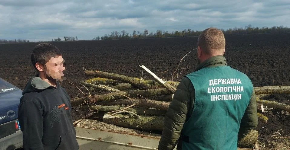 У Запорізькому районі викрили незаконну вирубку дерев у лісосмузі
