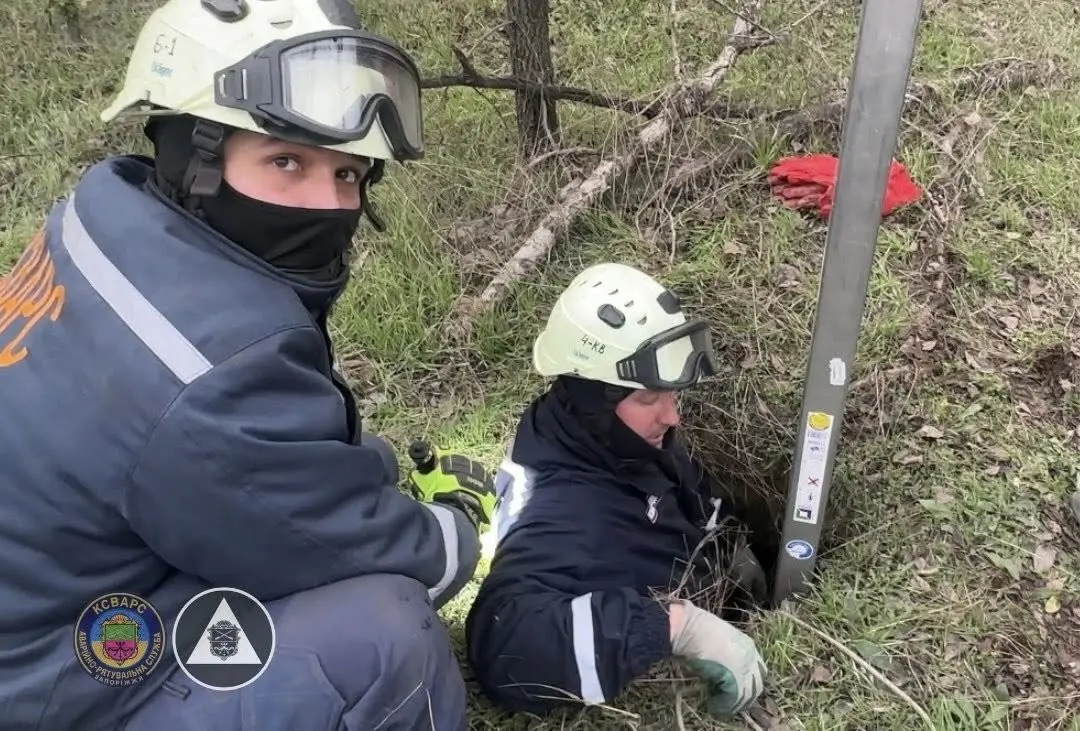 У Запоріжжі рятувальники визволили борсука, що впав у каналізаційну шахту