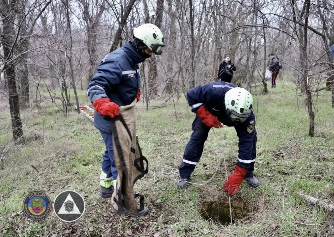 У Запоріжжі рятувальники визволили борсука, що впав у каналізаційну шахту
