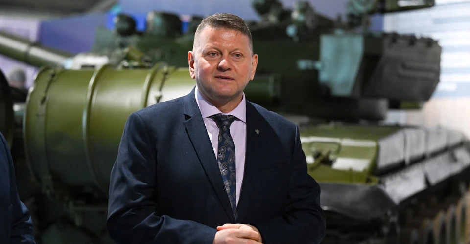 Безсмертний закликав залучити Залужного до управління державою, а не обмежувати його роль аналітикою