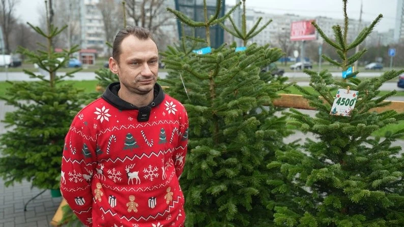 Від гілок до нордманських ялиць: скільки коштує новорічне дерево у Запоріжжі