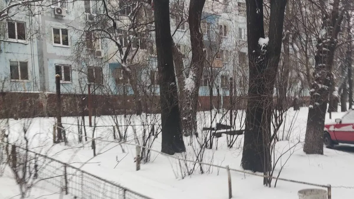 Запоріжжя входить у справжню зиму: невеликий сніг і стабільний мороз протягом дня