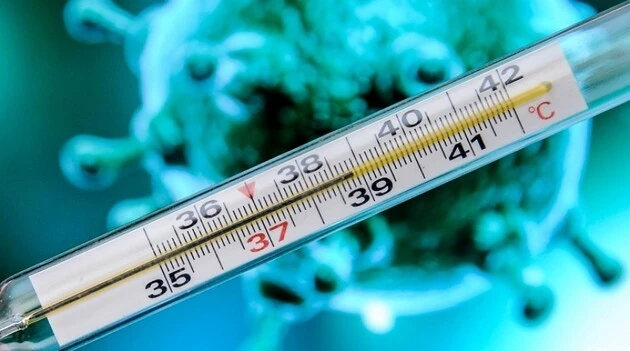 ГРВІ у Запорізькій області: рівень хворих низький, але зафіксовано летальний випадок грипу