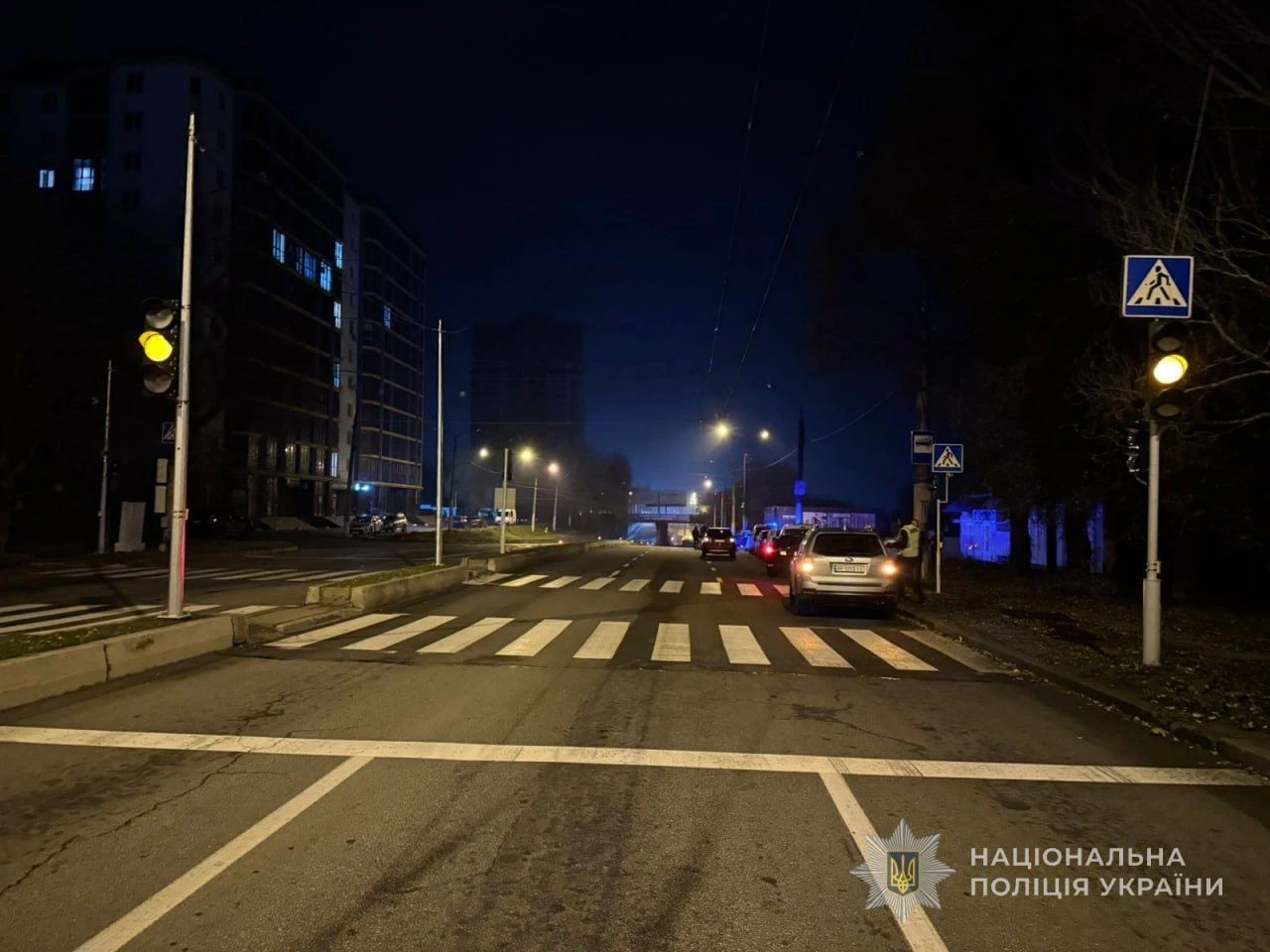 Вирок без ув’язнення: у Запоріжжі водія, який збив пішохода на переході, залишили на волі