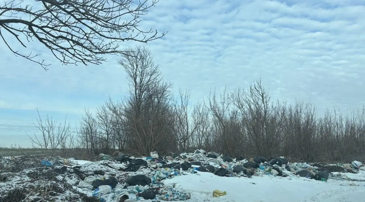 Сміття обабіч дороги: у Запорізькому районі зафіксували масштабне стихійне звалище