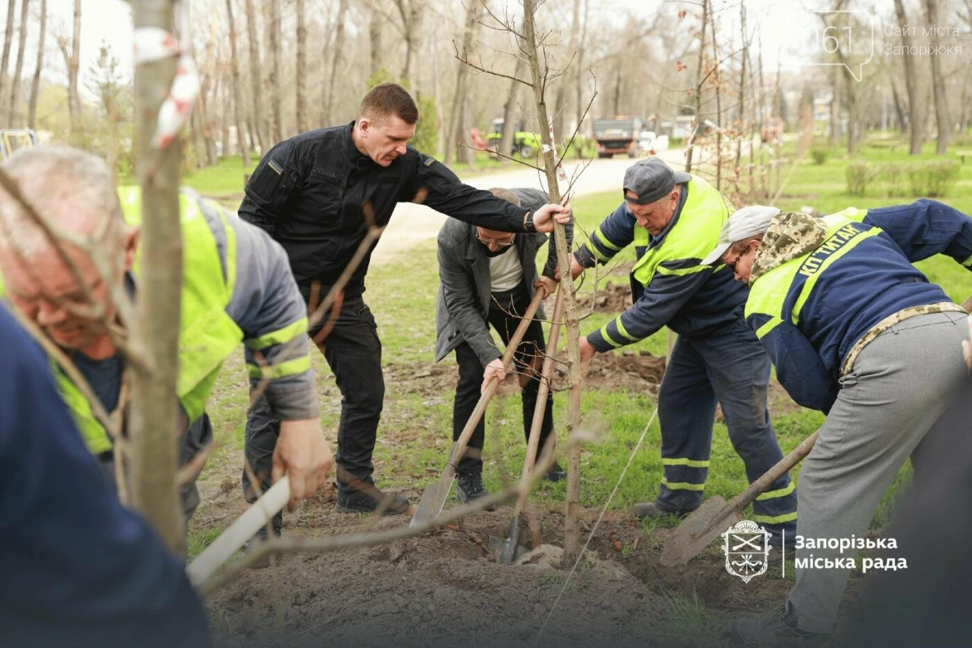 Зелене відновлення: у Запоріжжі центральну алею «Дубового гаю» прикрасили сотнею молодих дерев