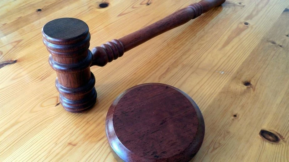 Державна зрада у лісгоспі: на Мелітопольщині колишній посадовець отримав вирок за співпрацю з ворогом