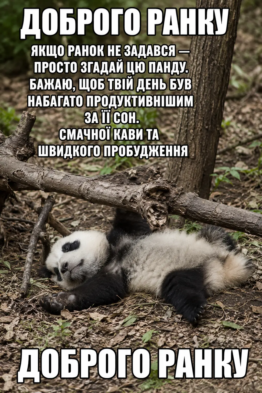 Оригінальні побажання доброго ранку: картинки для душевного настрою та натхнення