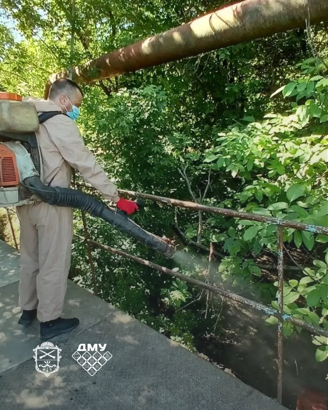 Профілактика небезпечних інфекцій: у Запоріжжі масштабно нищать личинок комарів у заточках і болотах