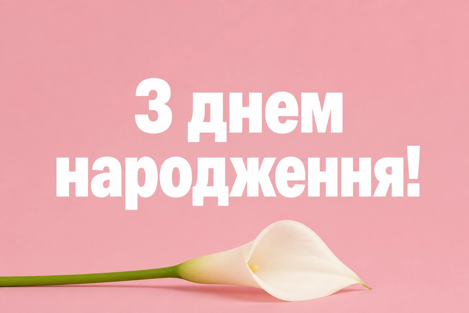квіти привітання з днем народження жінці квіти привітання з днем народження жінці